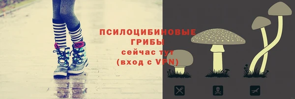 тгк Балахна
