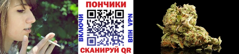 KRAKEN как зайти  Новозыбков  Бошки Шишки сатива  закладка 